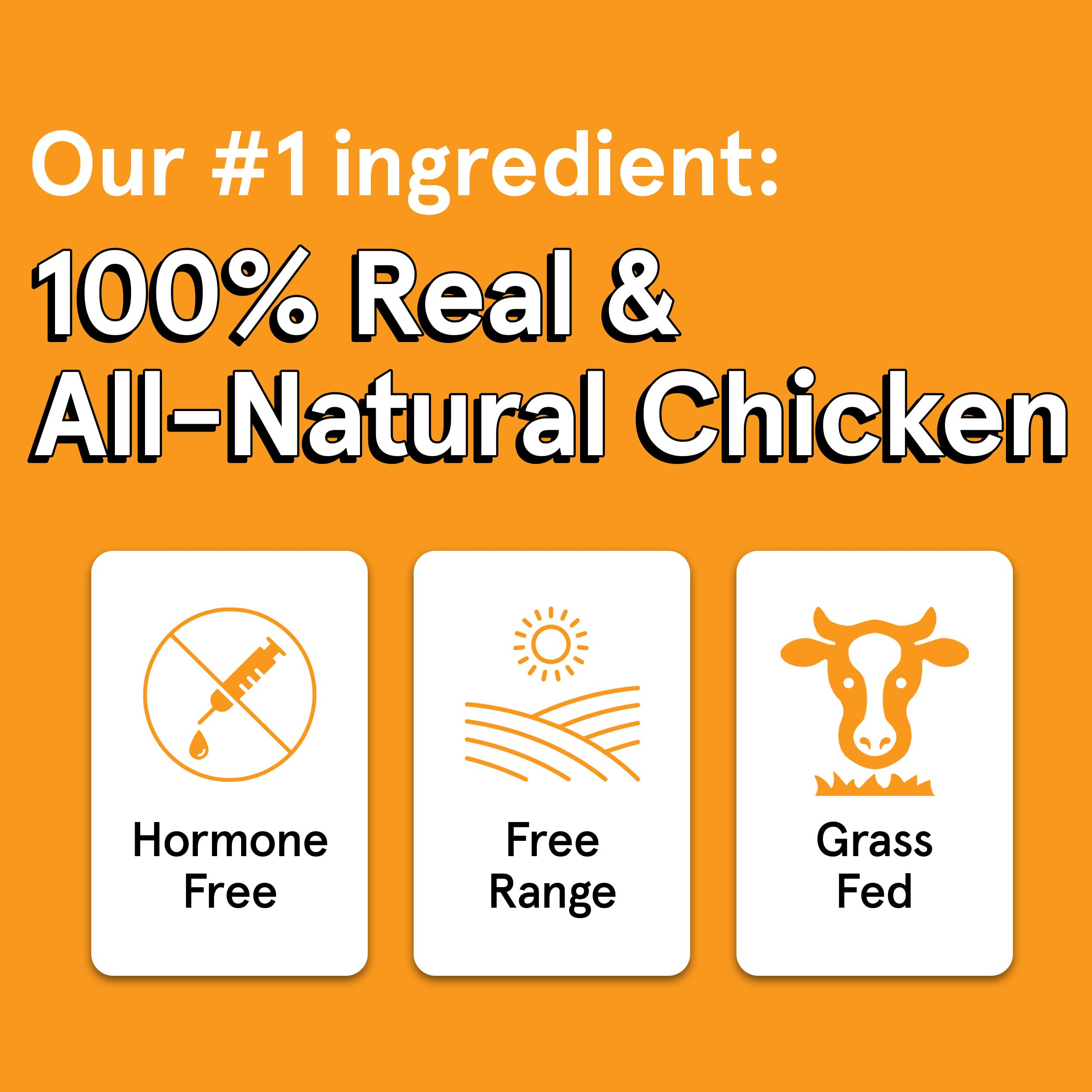 Real Meat Dog Treats - Two 12oz Bag of Bite-Sized Air-Dried Venison & Chicken Jerky for Dogs - Grain-Free Jerky Treats with 95%